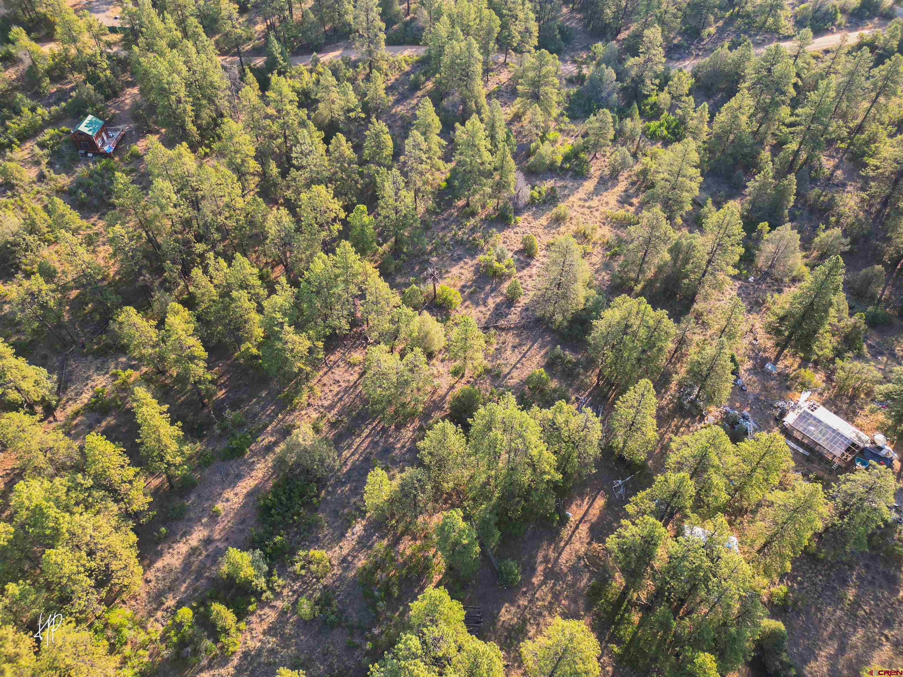 326 Justin's Road Pagosa Springs, CO 81147 - Photo 27 of 33 a view of a tree