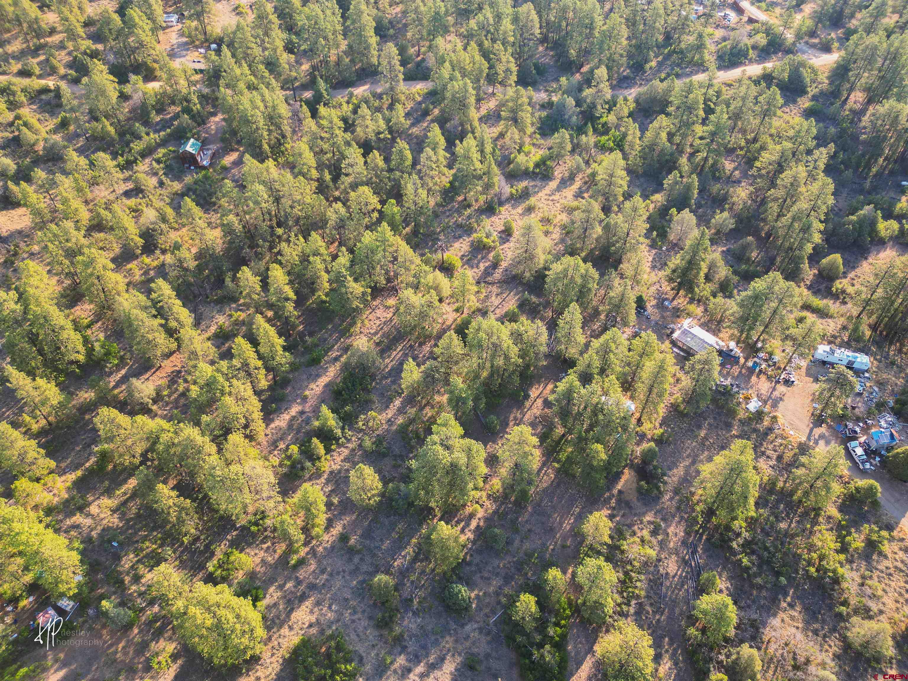 326 Justin's Road Pagosa Springs, CO 81147 - Photo 28 of 33 a view of a tree