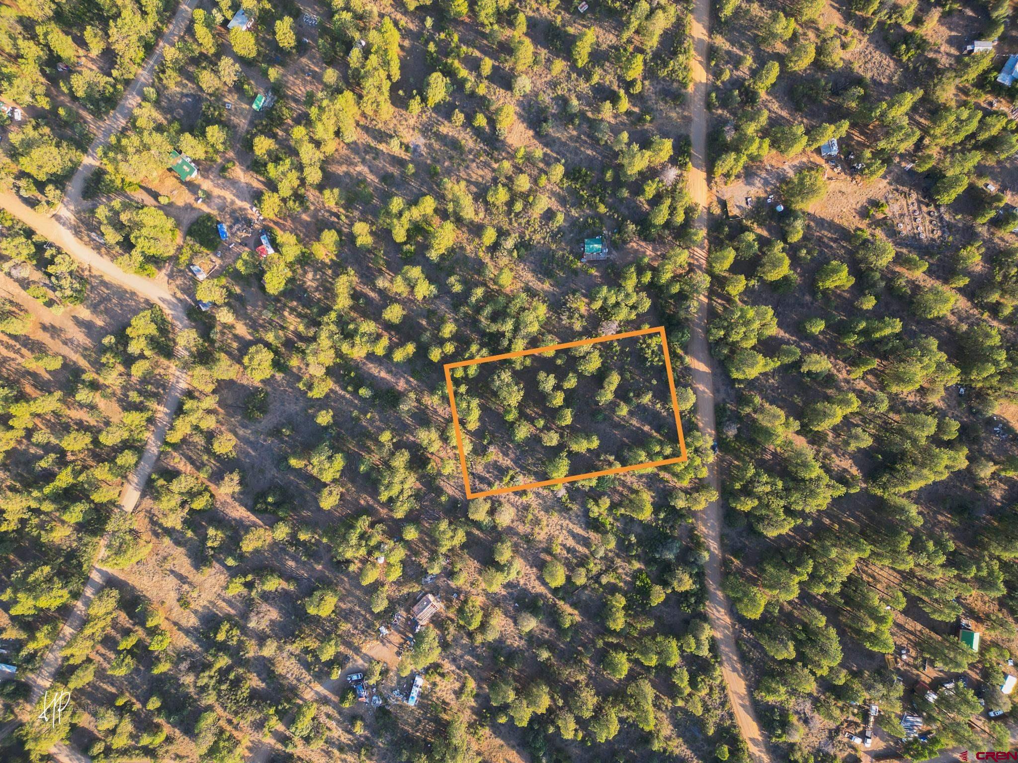 326 Justin's Road Pagosa Springs, CO 81147 - Photo 3 of 33 a picture of tree