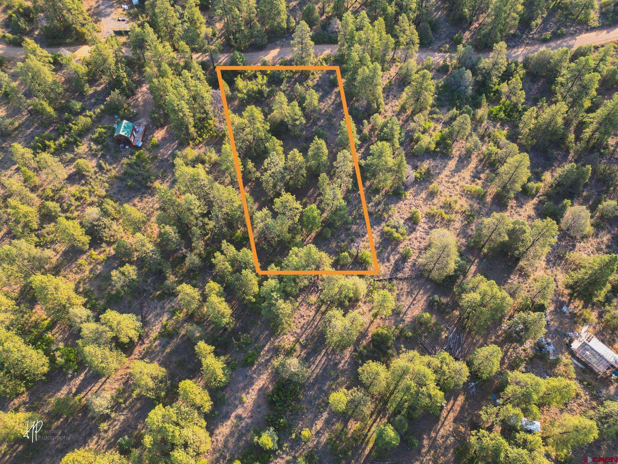 326 Justin's Road Pagosa Springs, CO 81147 - Photo 4 of 33