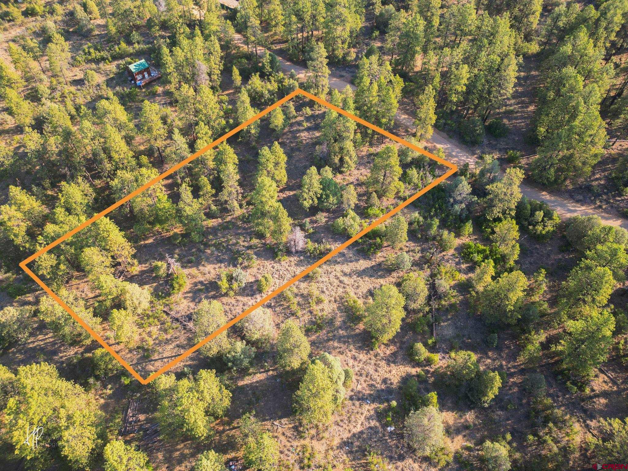 326 Justin's Road Pagosa Springs, CO 81147 - Photo 5 of 33 a backyard of a house