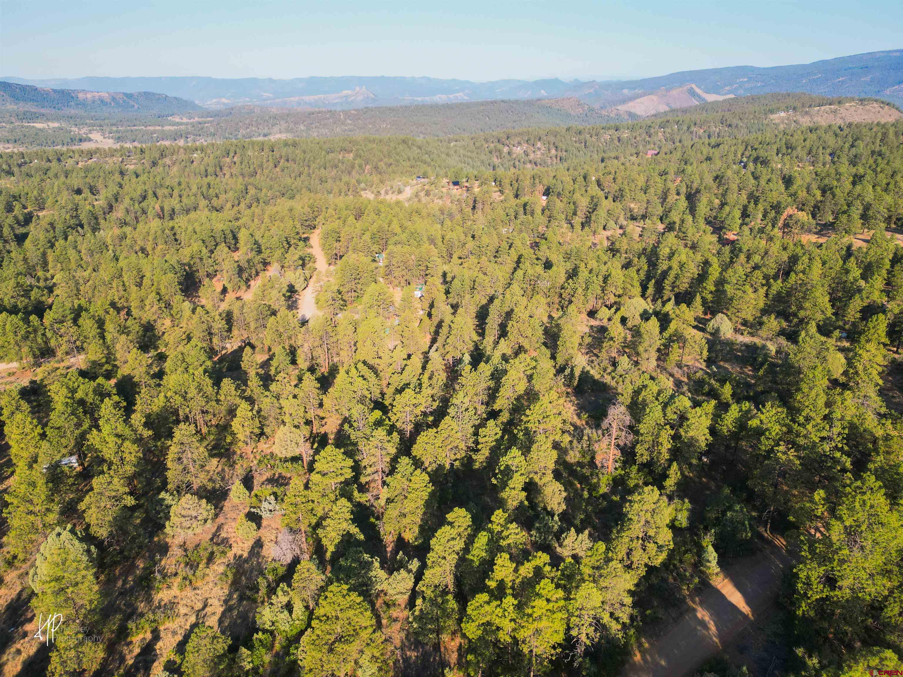326 Justin's Road Pagosa Springs, CO 81147 - Photo 8 of 33
