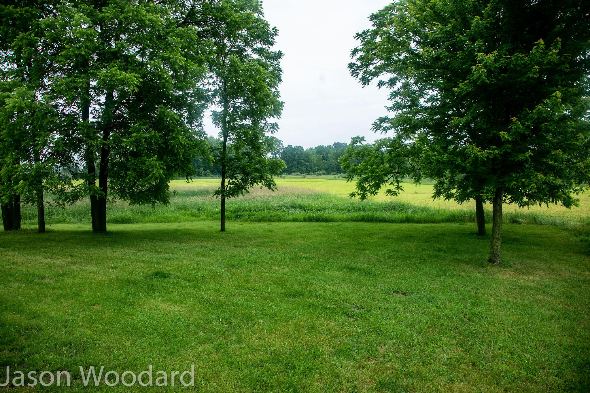 4300 Haynor Road Orleans, MI 48865 - Photo 41 of 45 House-11