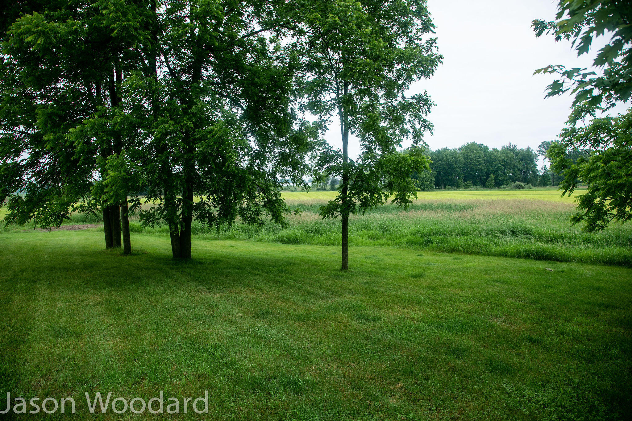 4300 Haynor Road Orleans, MI 48865 - Photo 45 of 45 House-15