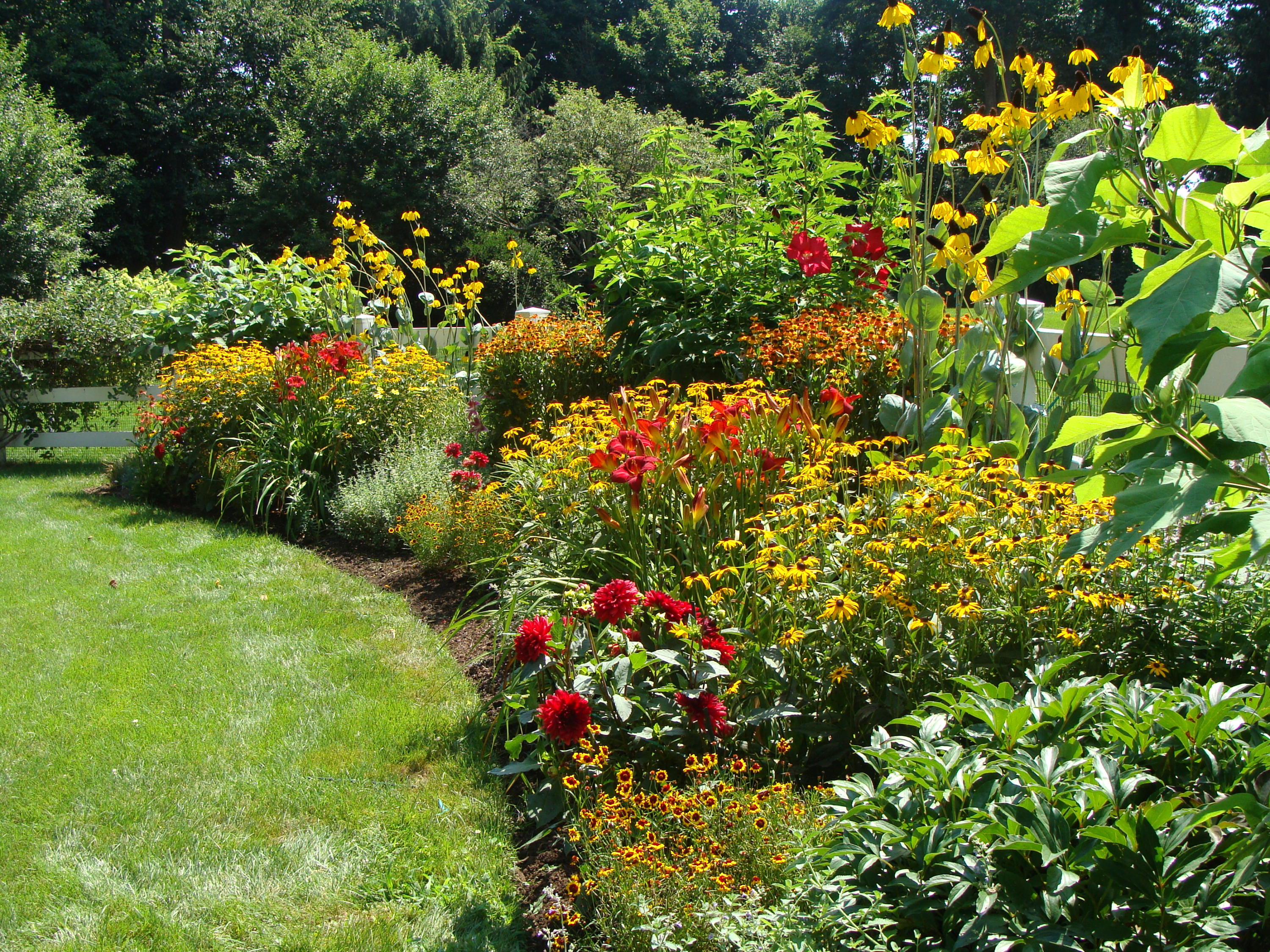 500 Hollow Tree Ridge Road Darien, CT 06820 - Photo 54 of 59 a view of a flower garden in a garden