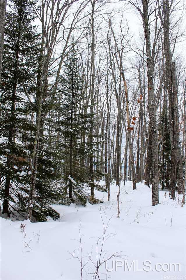 Tbd Des Rochers Road, Unit LOT 19 Pelkie, MI 49958 - Photo 7 of 33