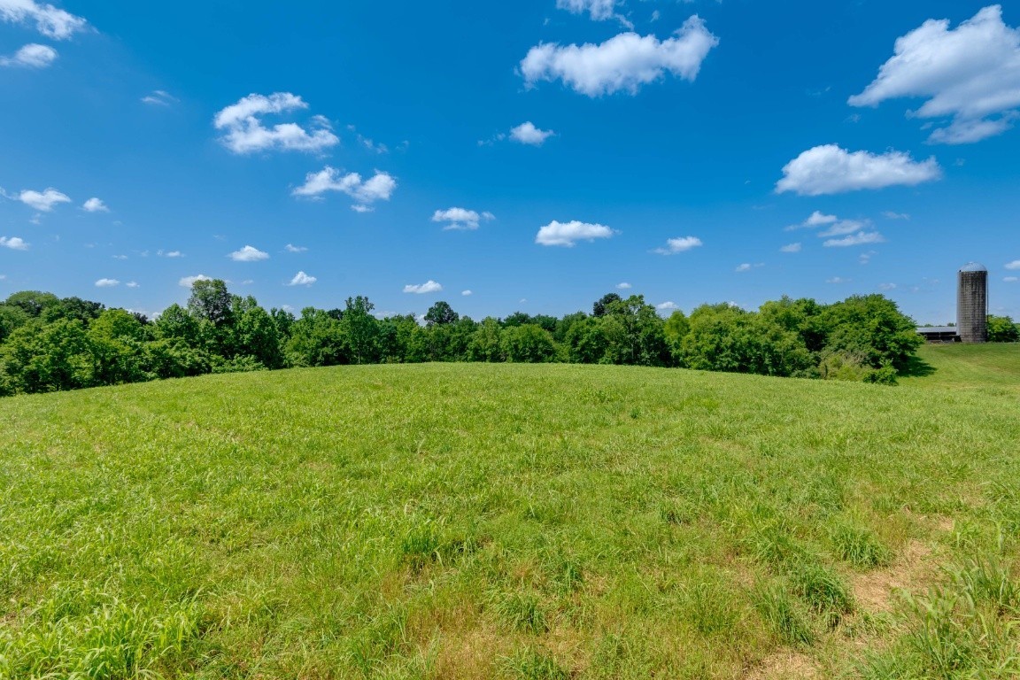 0 Walter Road Clarksville, TN 37043 - Photo 1 of 4 a view of a big yard with a house in the background