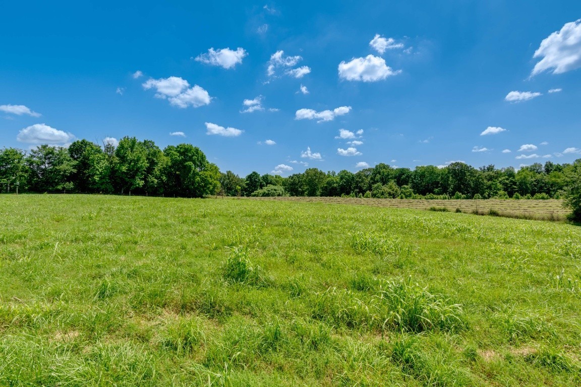0 Walter Road Clarksville, TN 37043 - Photo 2 of 4 a view of a big yard with green space