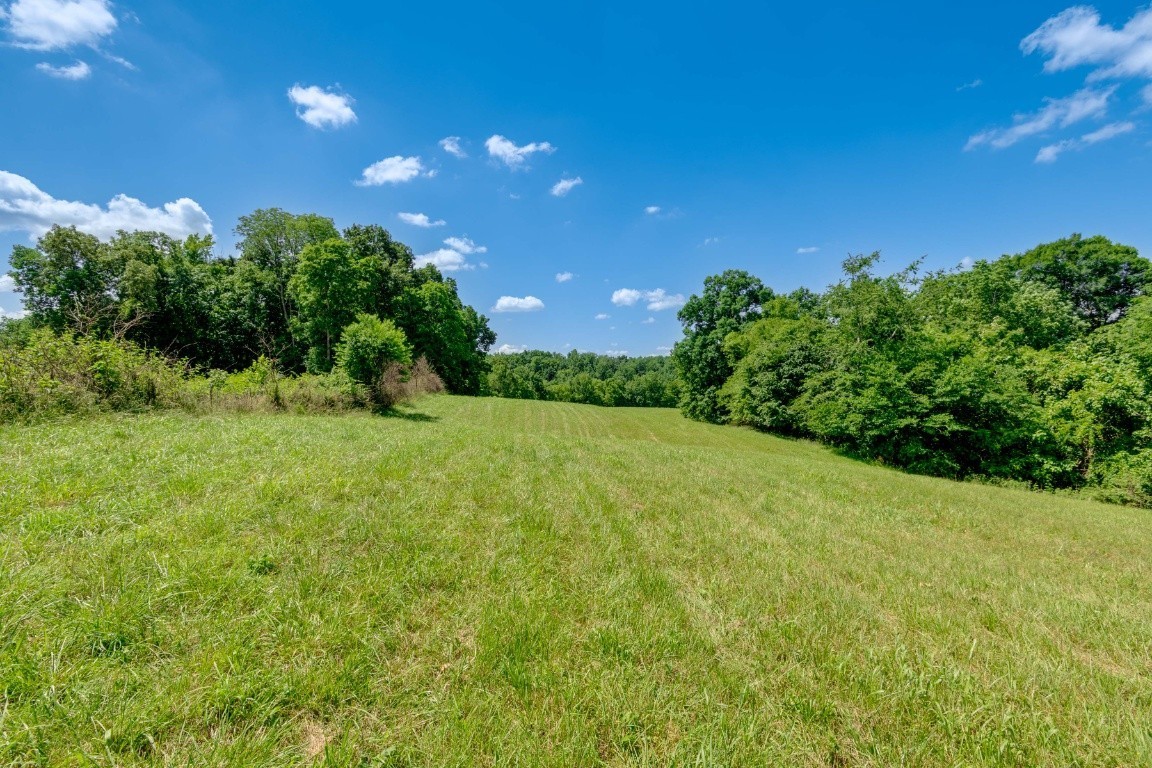 0 Walter Road Clarksville, TN 37043 - Photo 3 of 4 a view of a big yard with large trees