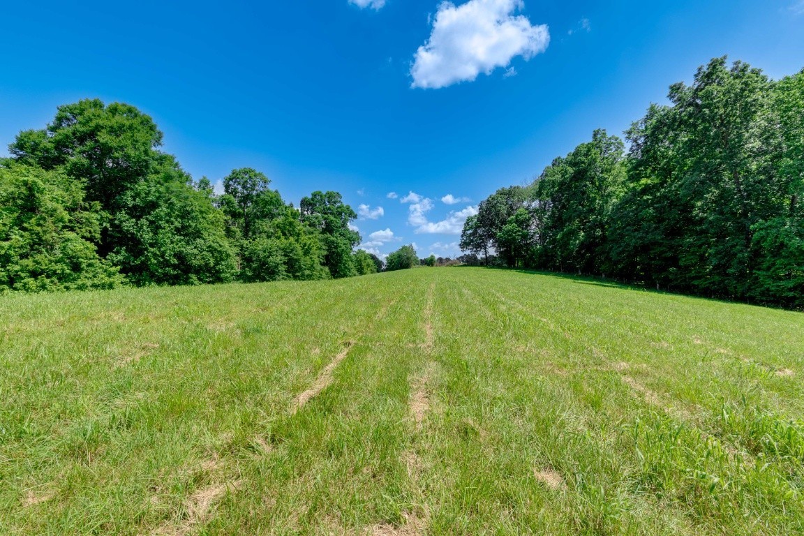 0 Walter Road Clarksville, TN 37043 - Photo 4 of 4 a view of a green yard