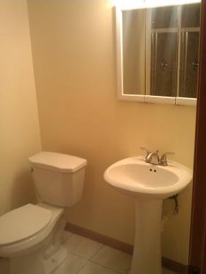3915 West Marquette Road Chicago, IL 60629 - Photo 10 of 12 Gallery Image 10