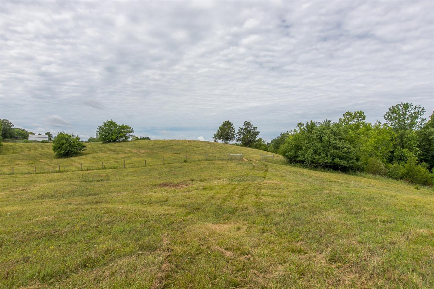 1739 Graves Road Stamping Ground, KY 40379 - Photo 11 of 28 Photo 11