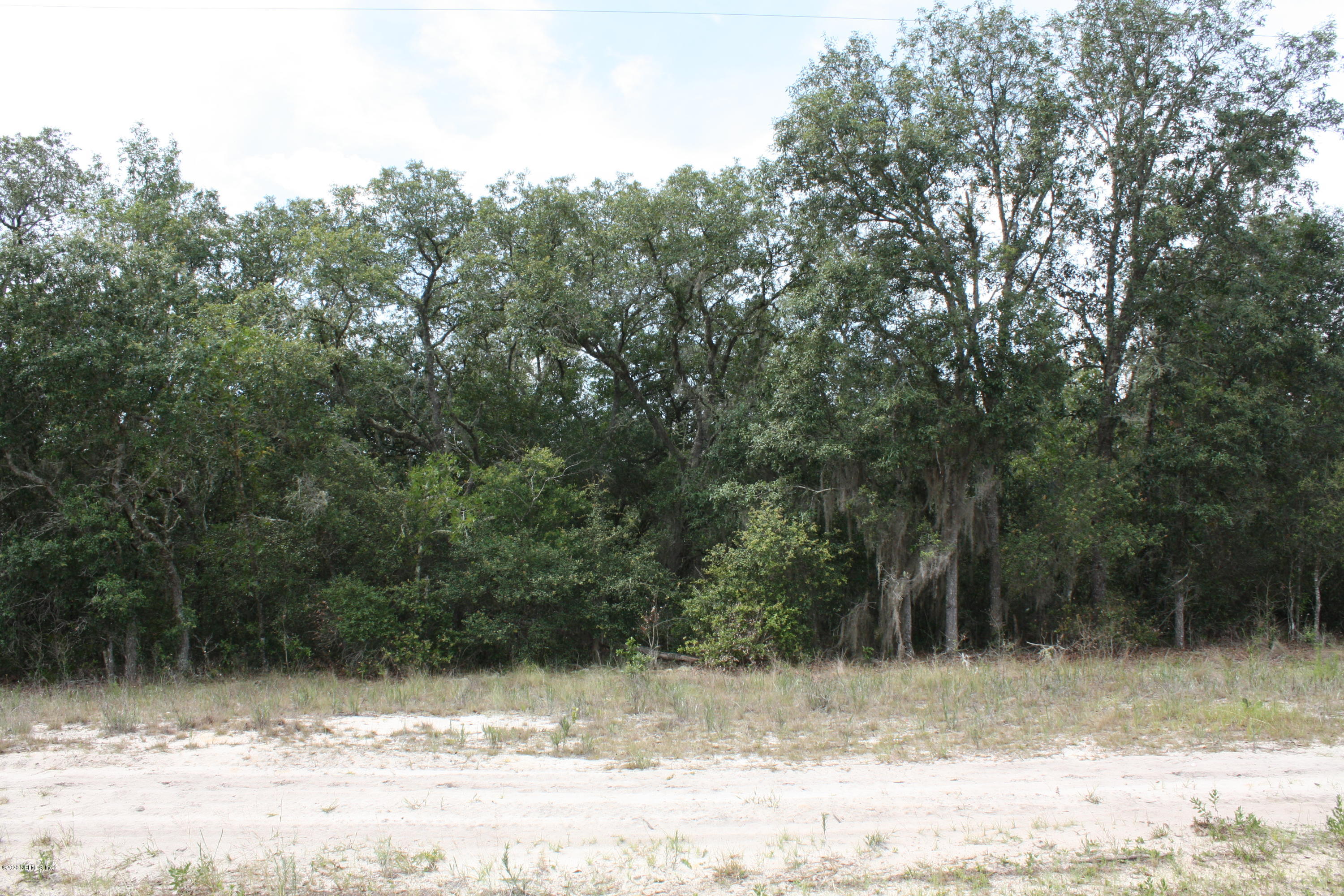 5470 County Road 352 Keystone Heights, FL 32656 - Photo 3 of 5 IMG_6940