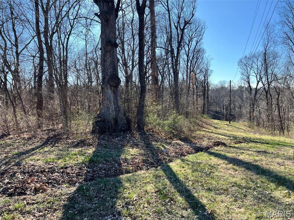 4 Acres Oak Ridge Hannibal, MO 63401 - Photo 3 of 3