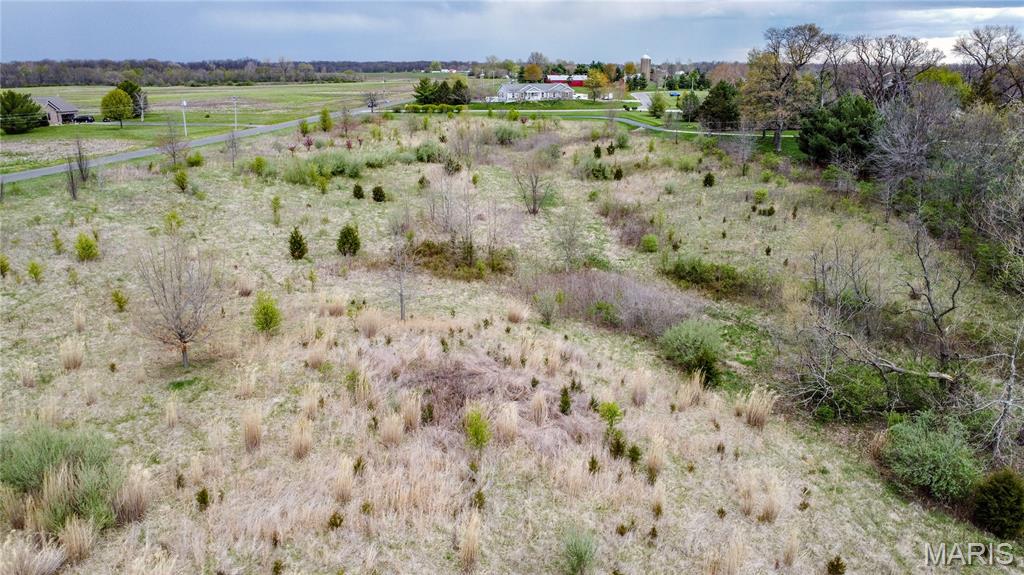 0 Lageman Lane Brighton, IL 62012 - Photo 12 of 13
