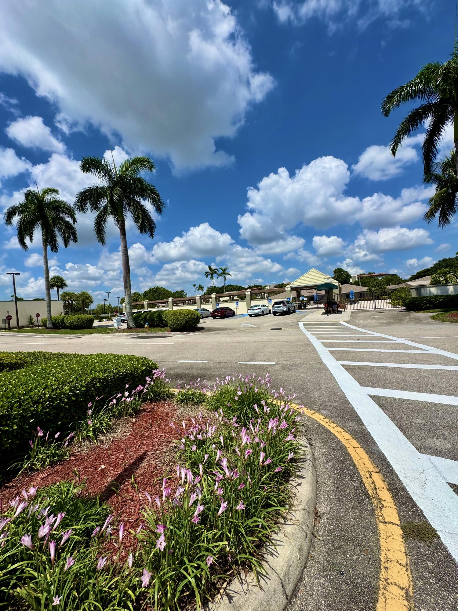4401 Martinique Court, Unit G2 Coconut Creek, FL 33066 - Photo 21 of 22 a view of a swimming pool with a lawn chairs and plants
