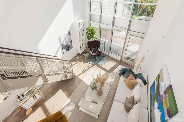 a view of a garden with plants