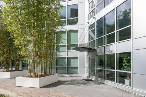 a living room with a couch and a potted plant