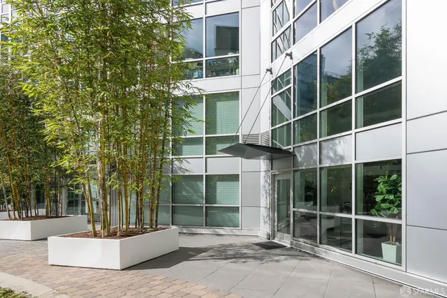 a living room with a couch and a potted plant