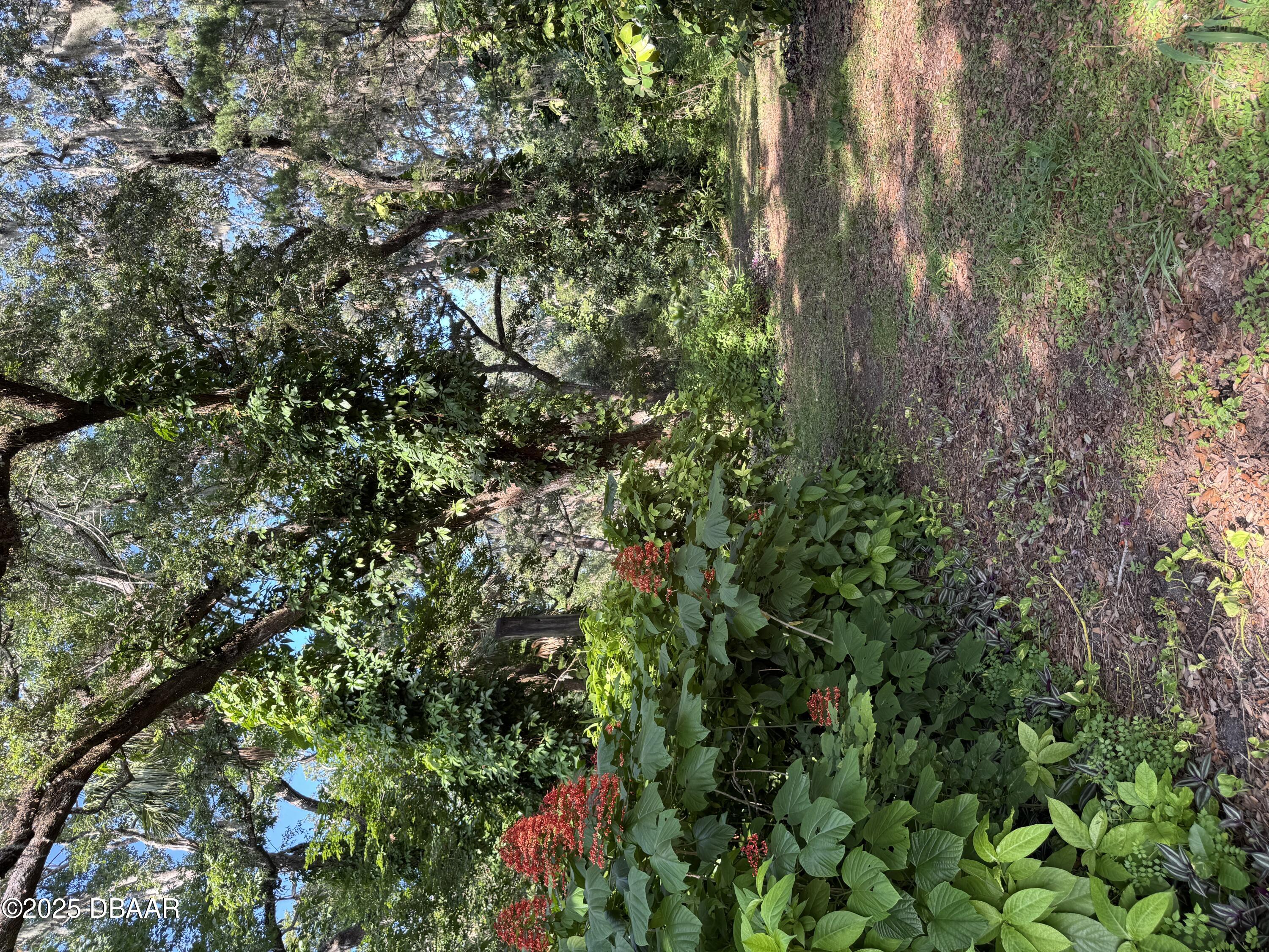 Front Entry From Jackson