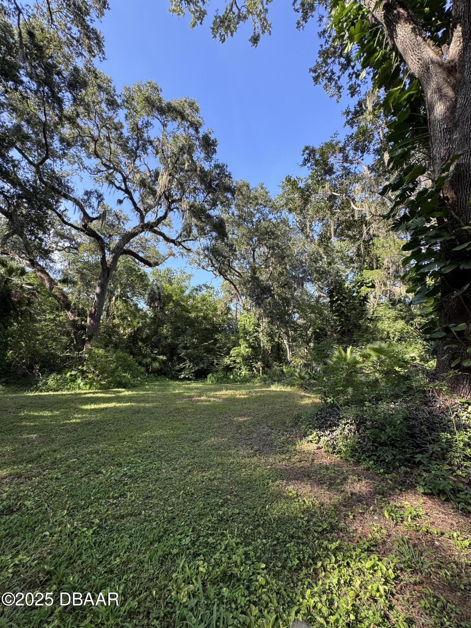 0 Jackson Street Port Orange, FL 32129 - Photo 11 of 16 IMG_0914