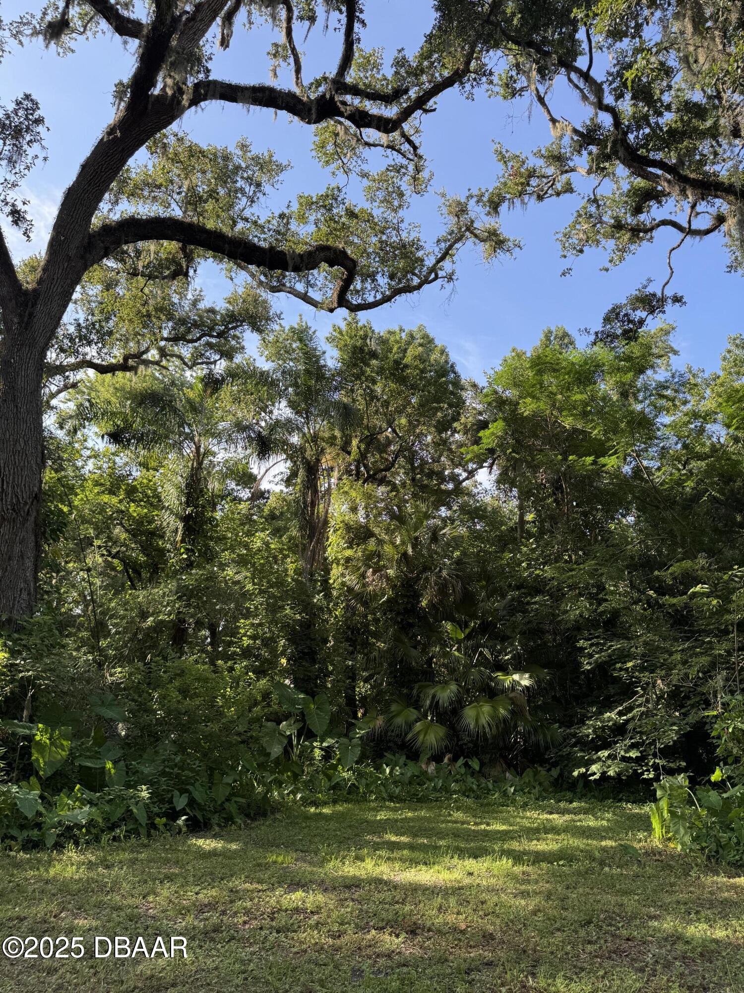 0 Jackson Street Port Orange, FL 32129 - Photo 13 of 16 IMG_0919