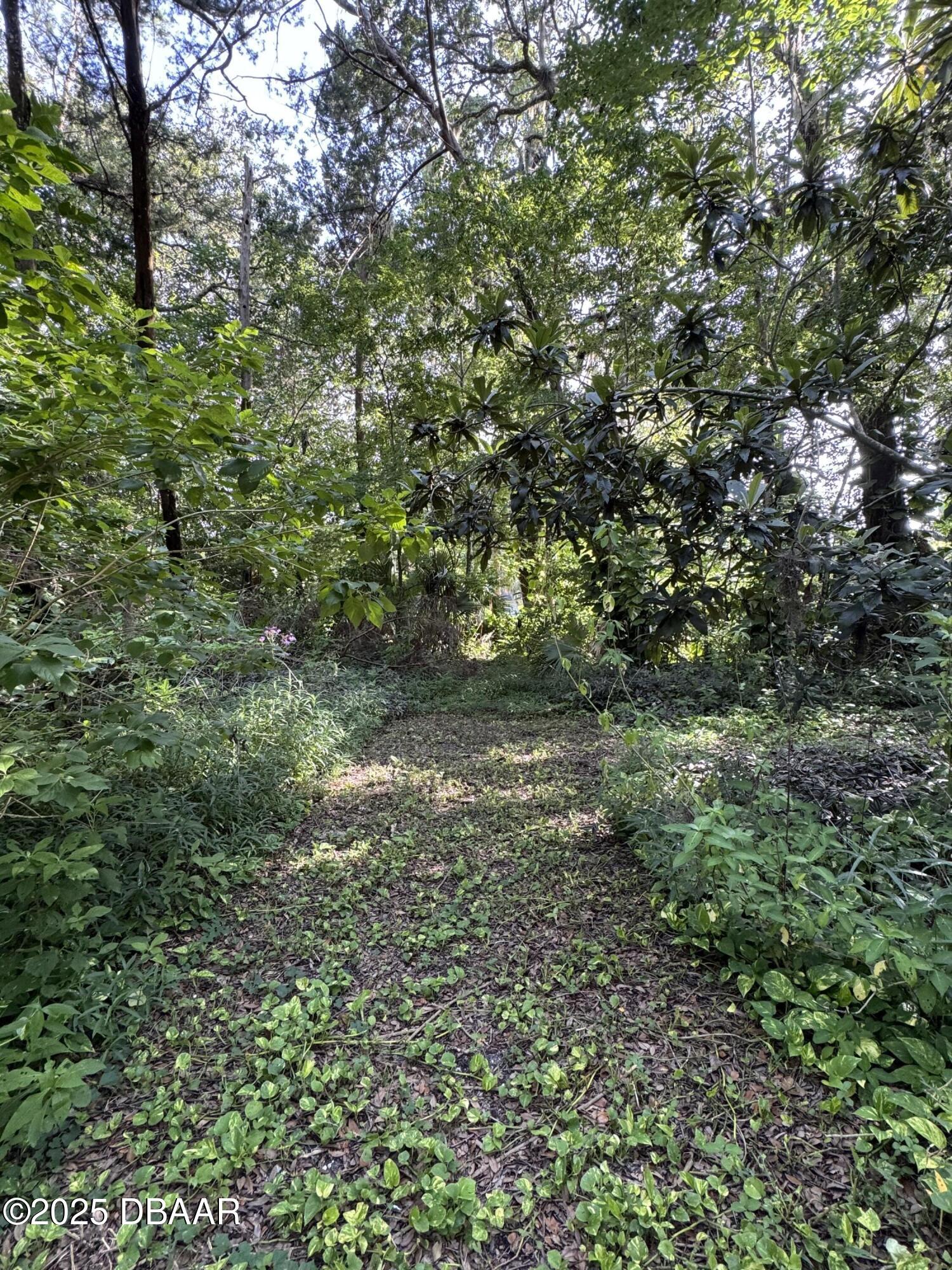 0 Jackson Street Port Orange, FL 32129 - Photo 6 of 16 IMG_0931