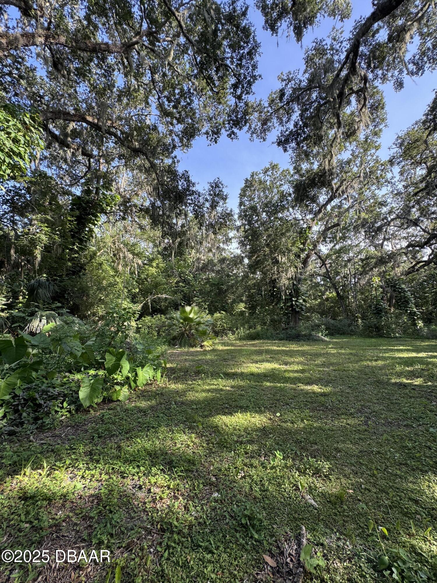 0 Jackson Street Port Orange, FL 32129 - Photo 7 of 16 IMG_0925