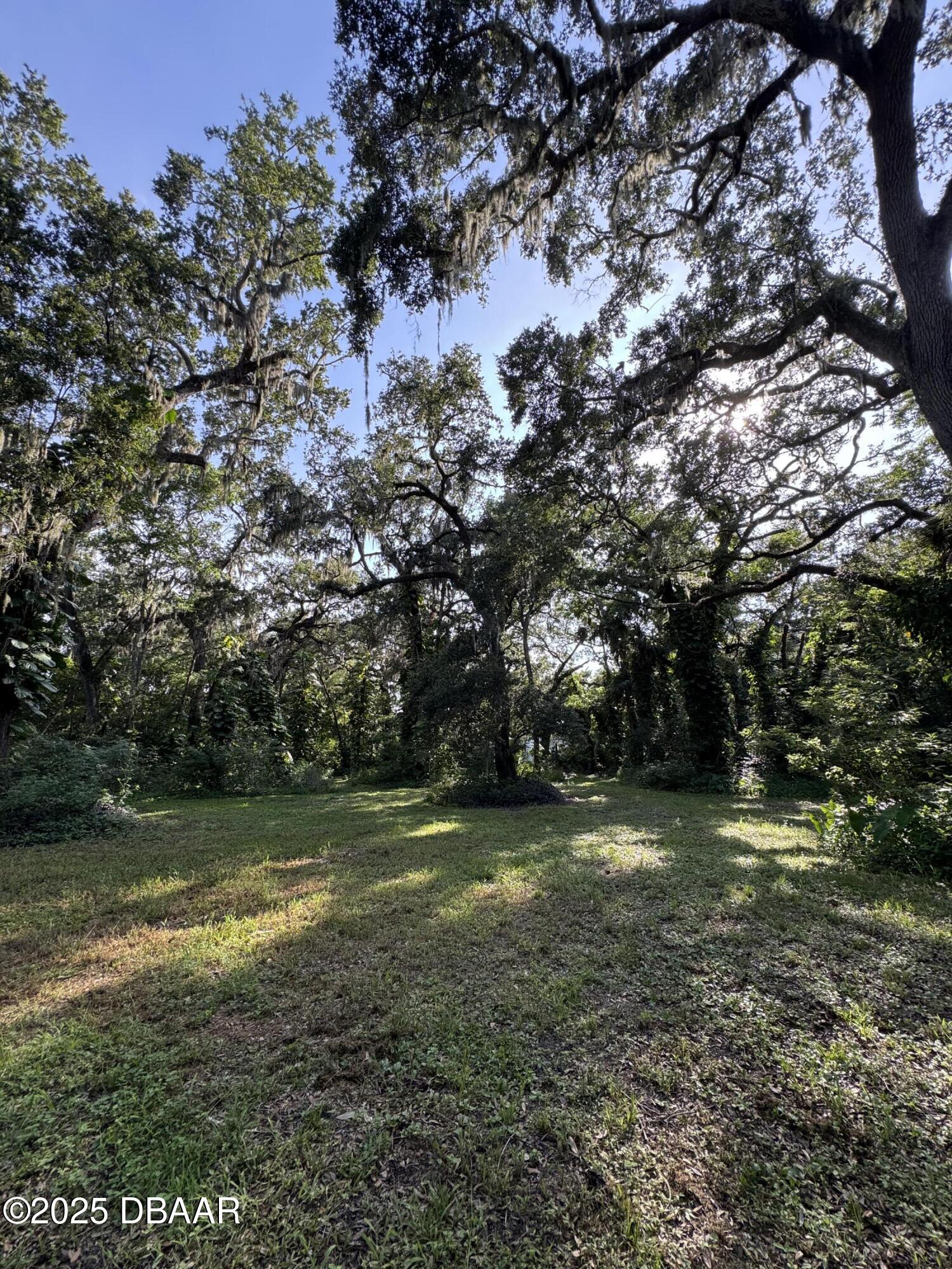 0 Jackson Street Port Orange, FL 32129 - Photo 8 of 16 IMG_0926