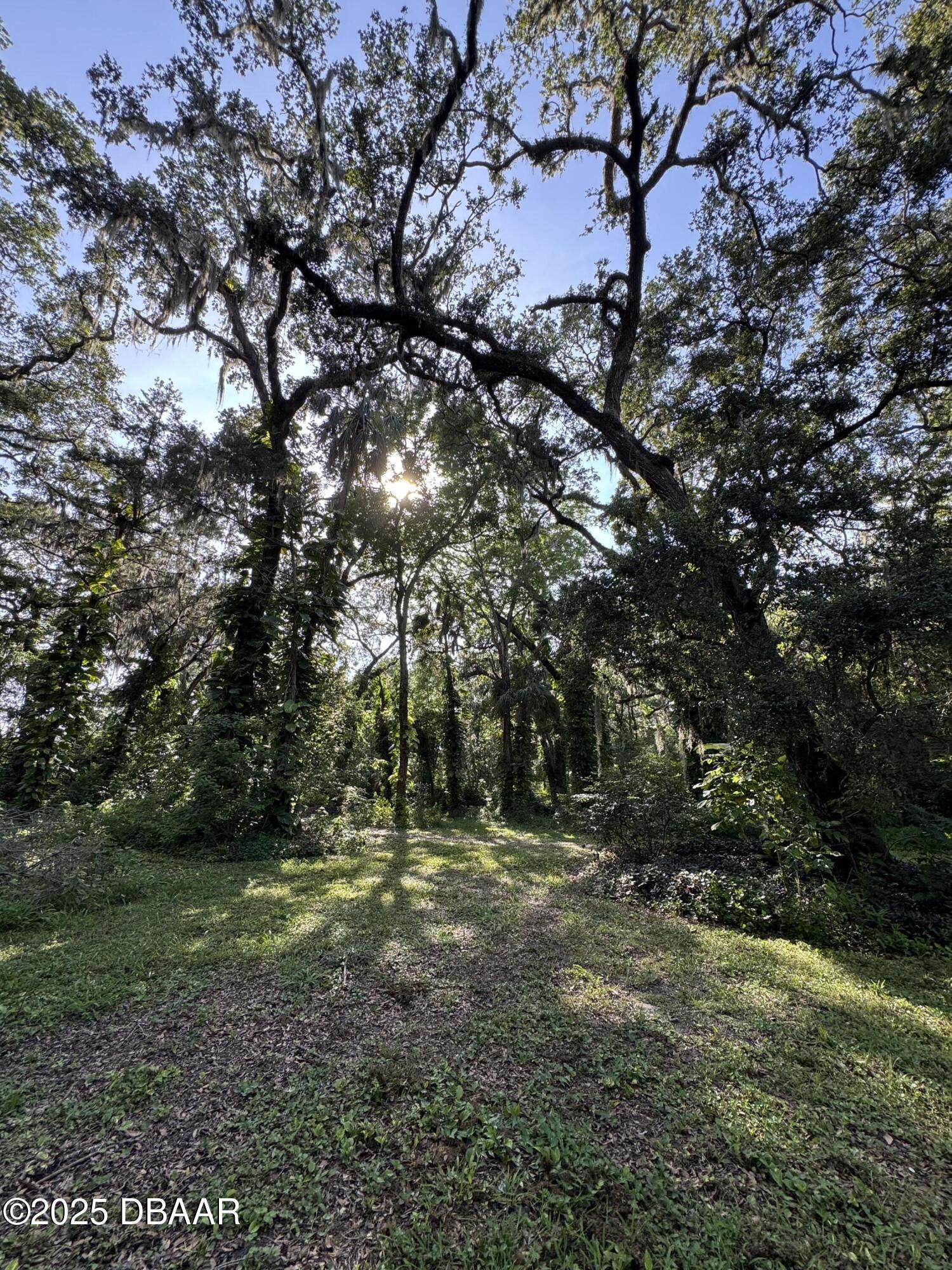 0 Jackson Street Port Orange, FL 32129 - Photo 9 of 16 IMG_0916