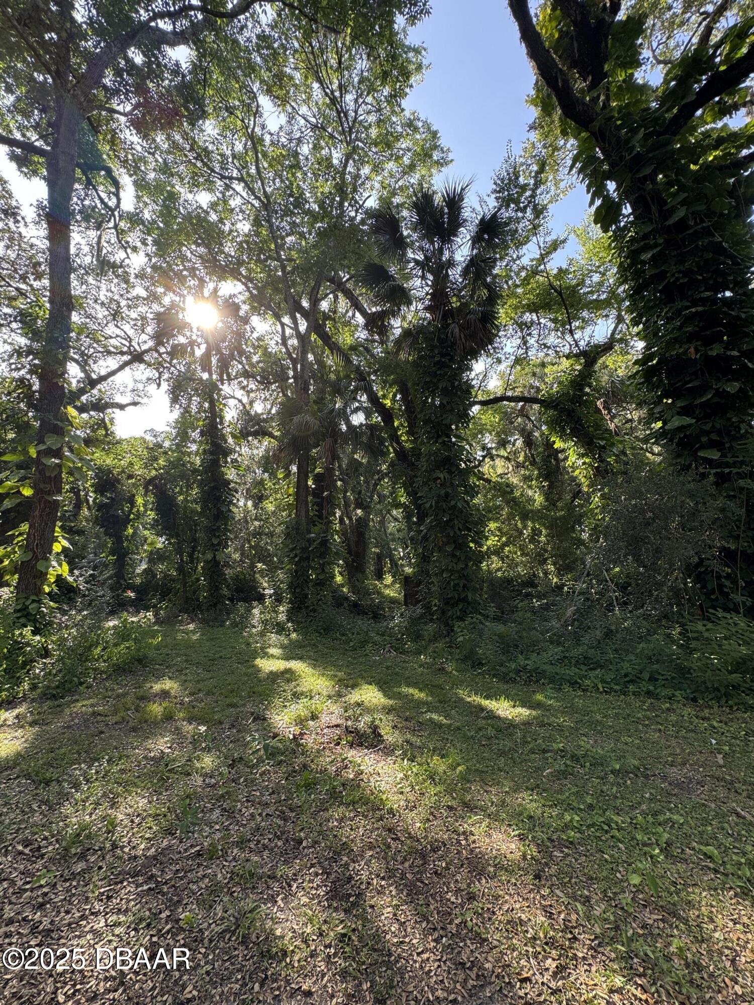 0 Jackson Street Port Orange, FL 32129 - Photo 10 of 16 IMG_0912