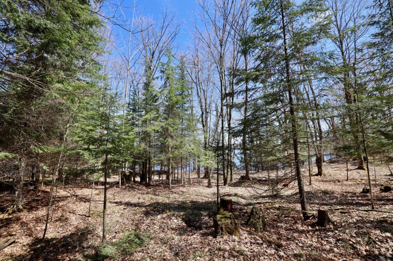 On West Birch Lake Road, Unit LOT 3 Presque Isle, WI 54557 - Photo 5 of 8 Gallery Image 5