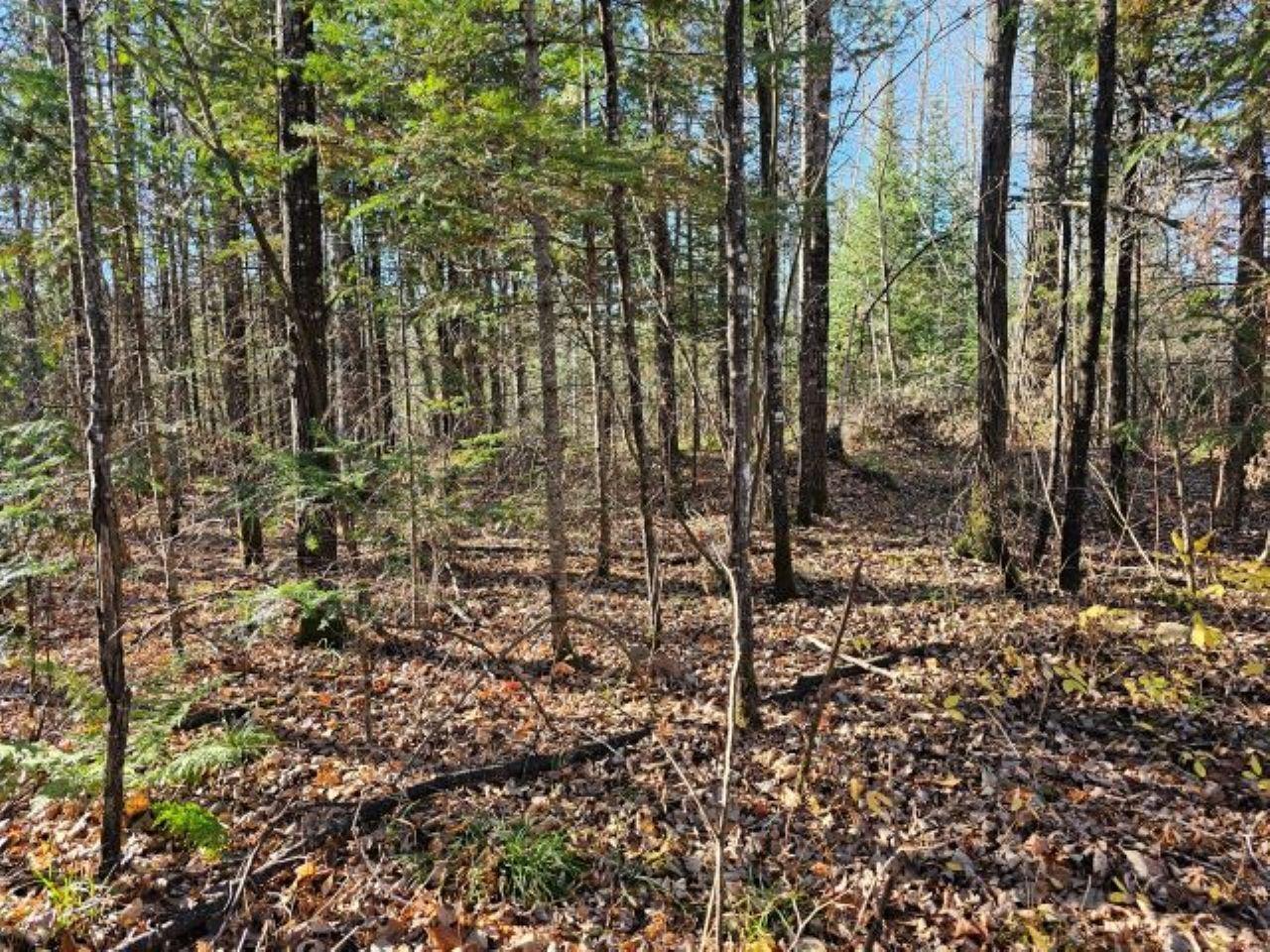 5913 North Adventures Trail Mercer, WI 54547 - Photo 1 of 15 Gallery Image 1