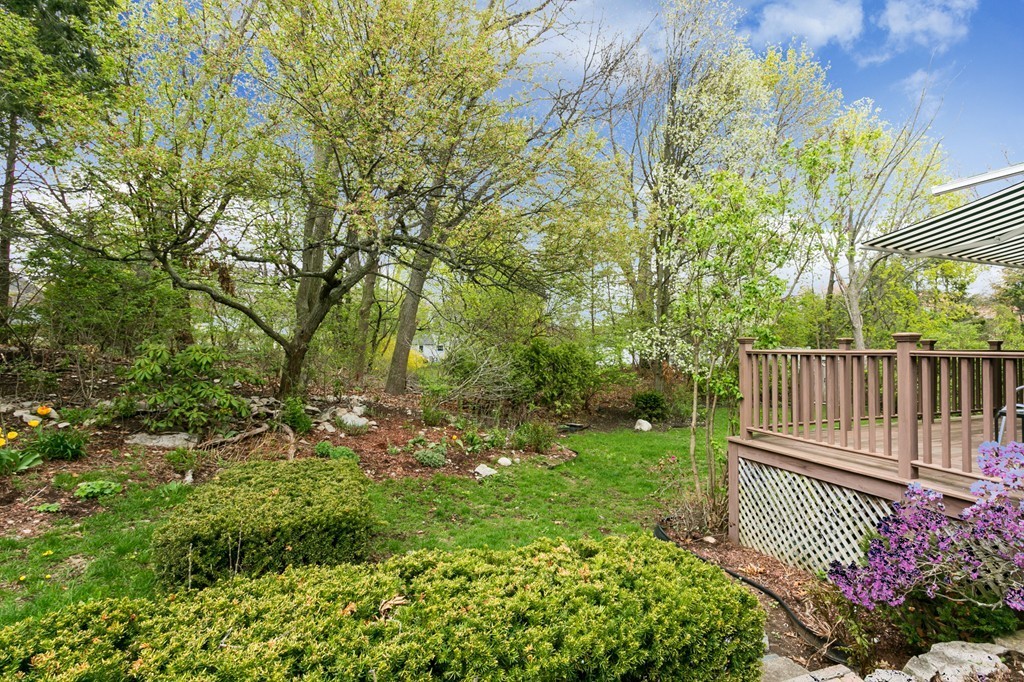 43 Kenney Street Needham, MA 02492 - Photo 28 of 30