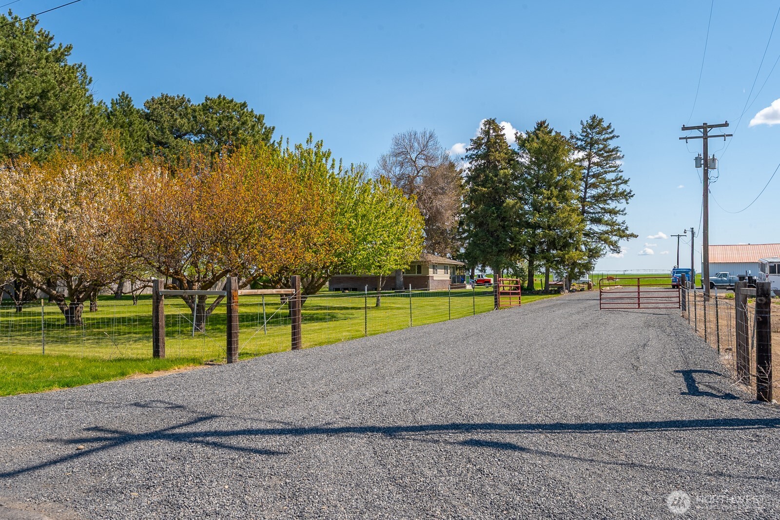 11627 Rd K Northeast Moses Lake, WA 98837 - Photo 2 of 37 a view of a park with large trees