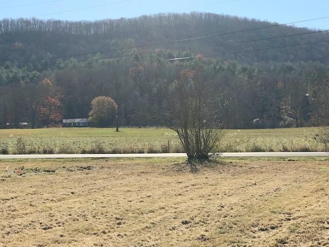 540 Back Valley Road Oliver Springs, TN 37840 - Photo 14 of 14 IMG_2484