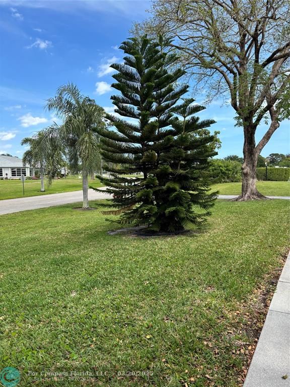 14748 Canalview Drive, Unit B Delray Beach, FL 33484 - Photo 12 of 12 a view of a garden