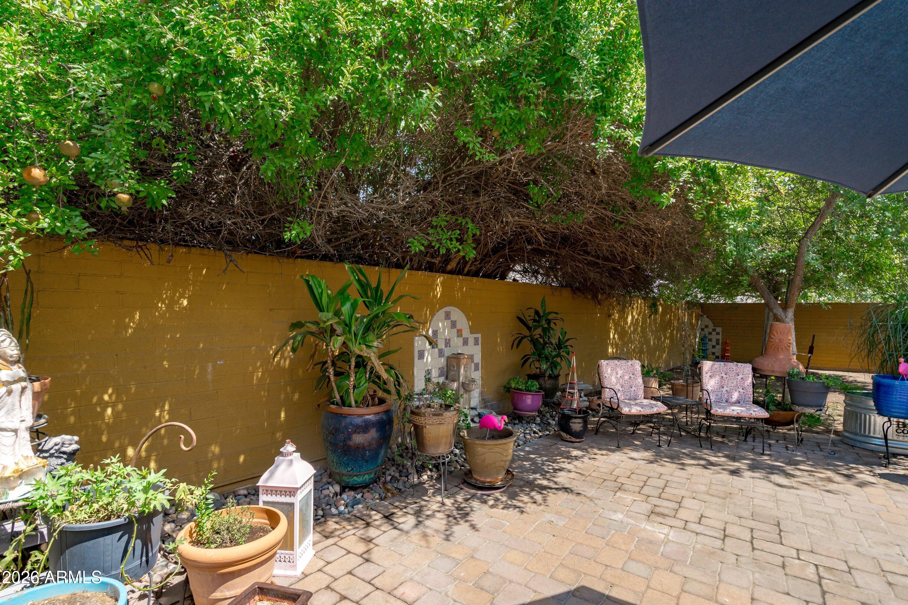 5525 North 12th Street Phoenix, AZ 85014 - Photo 48 of 59 55-Backyard View