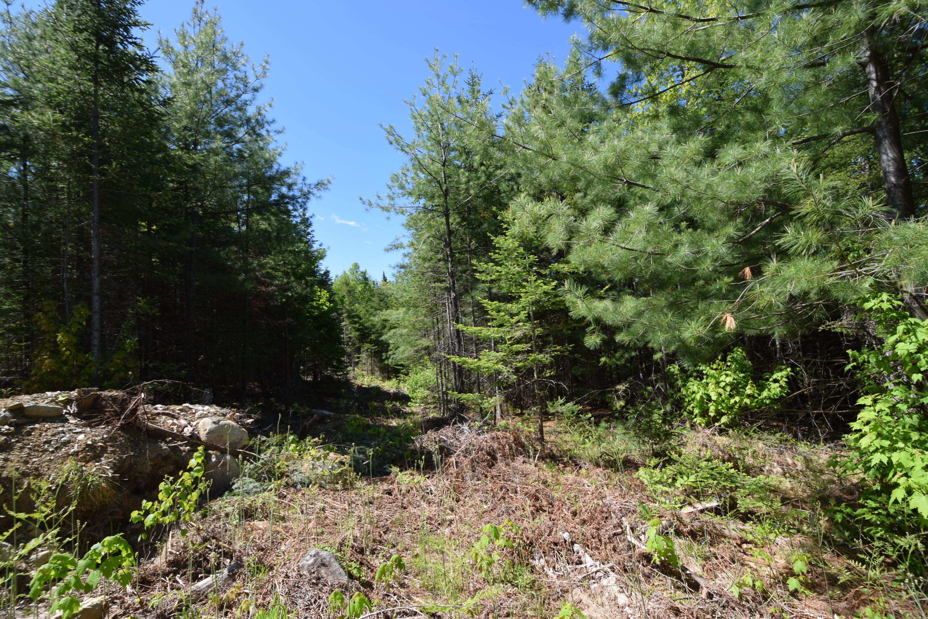 Lot 18 Tenney Hill Road Monson, ME 04464 - Photo 25 of 41 2020-06-01 22.47.10