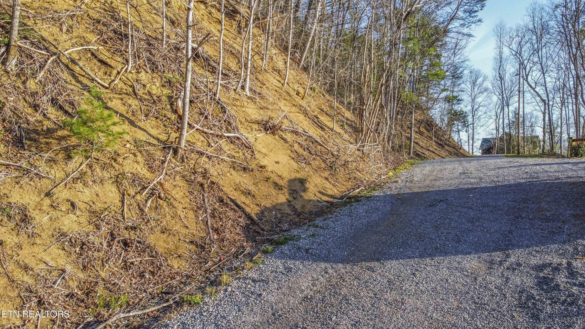 0 Cooper Holw Road Townsend, TN 37882 - Photo 19 of 20