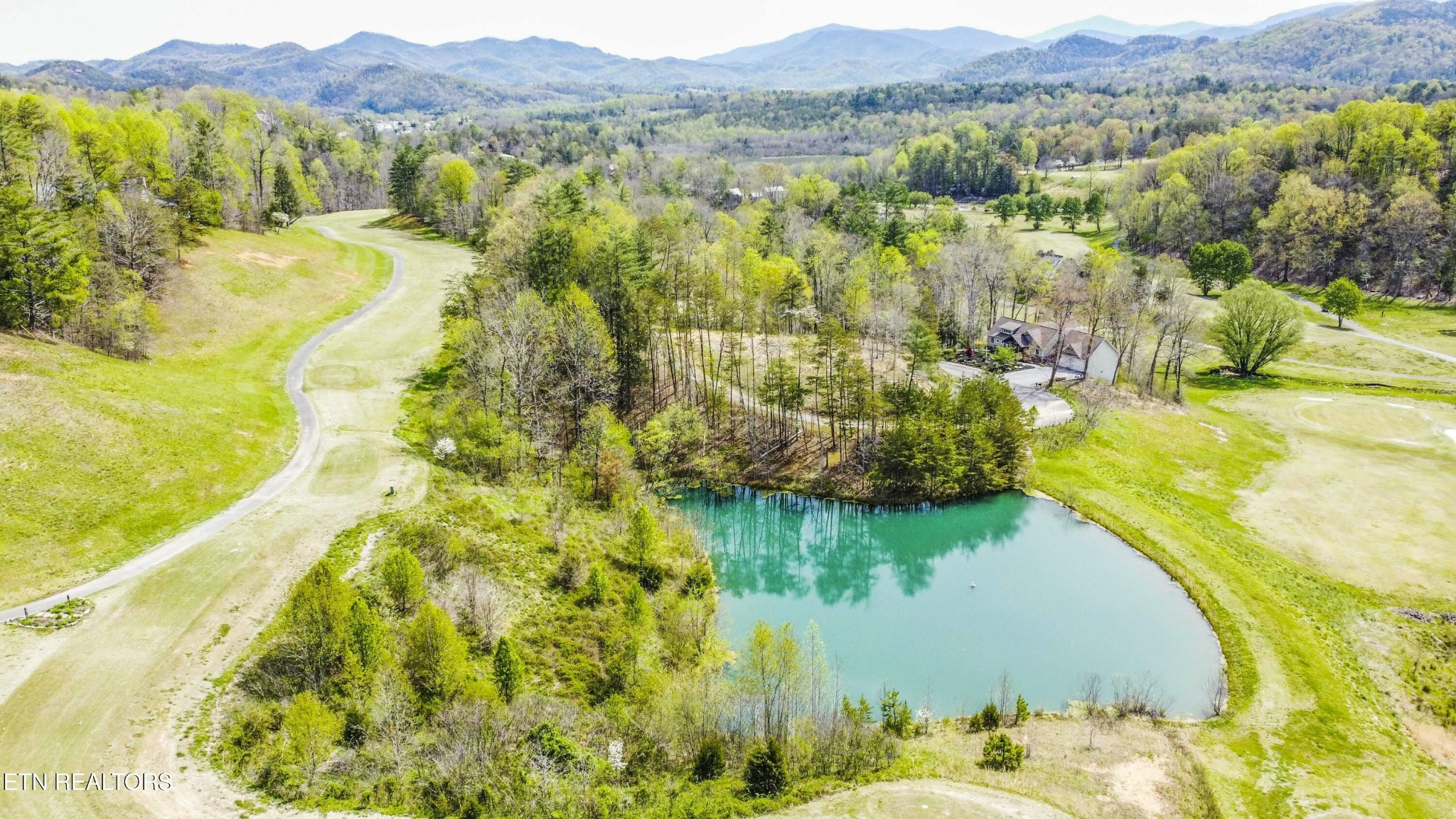 0 Cooper Holw Road Townsend, TN 37882 - Photo 8 of 20