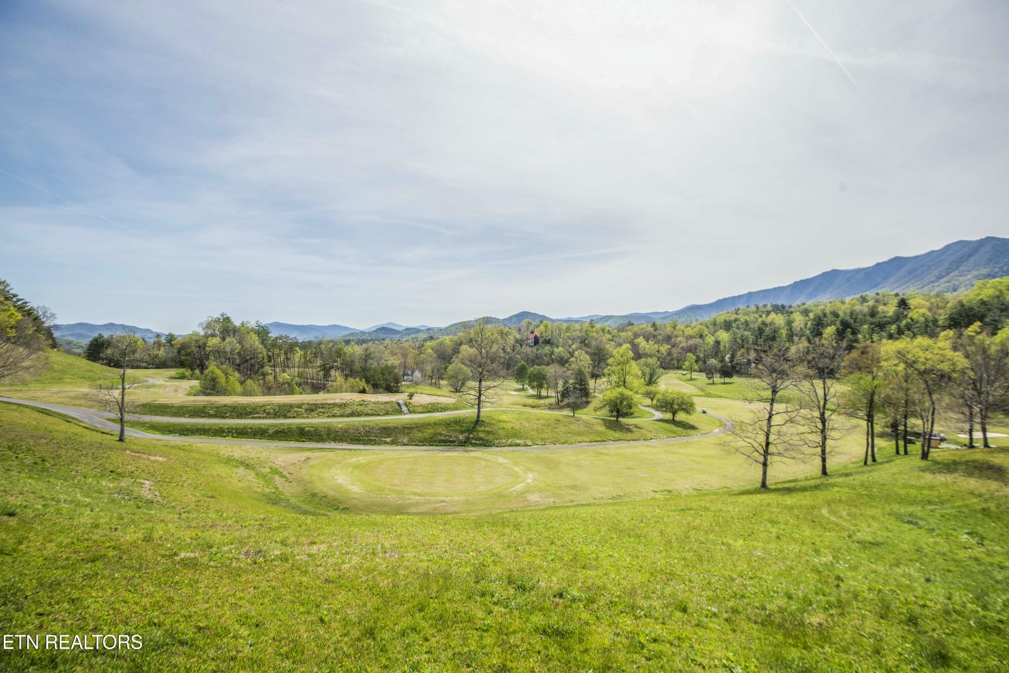 0 Cooper Holw Road Townsend, TN 37882 - Photo 9 of 20