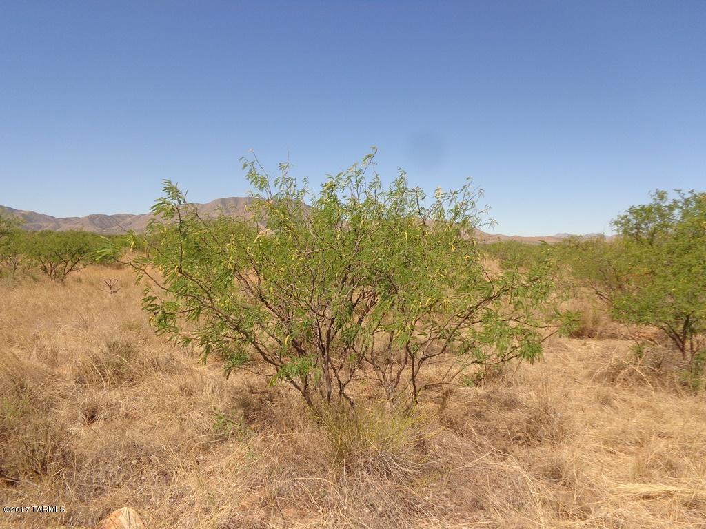 North Cochise Stronghold Road Cochise, AZ 85606 - Photo 7 of 10