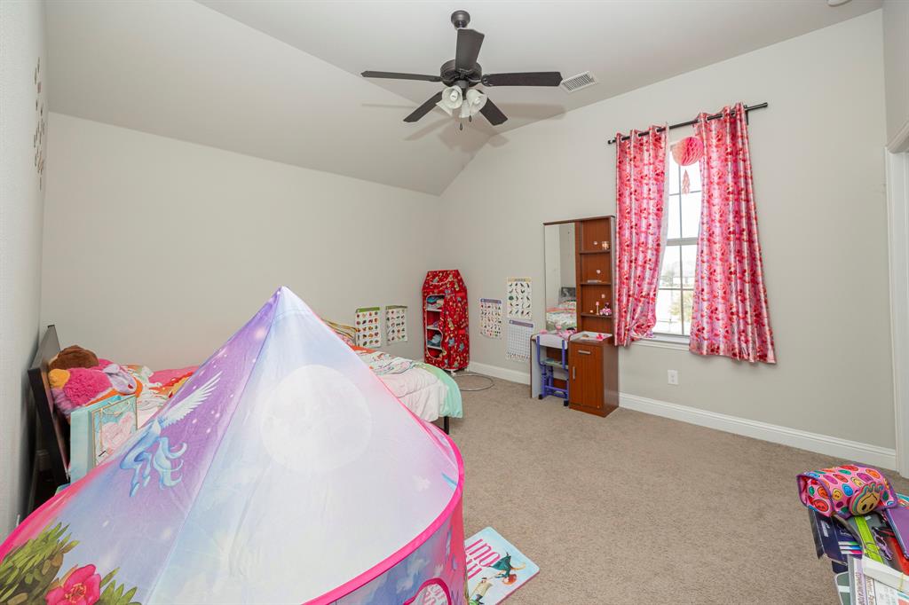 359 Timber Creek Lane Frisco, TX 75033 - Photo 37 of 38