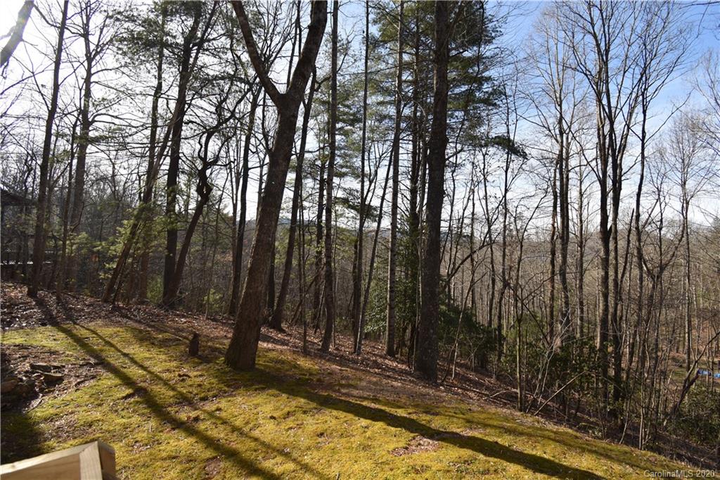 1215 Kanuga Ridge Road Hendersonville, NC 28739 - Photo 4 of 21 Gallery Image 4