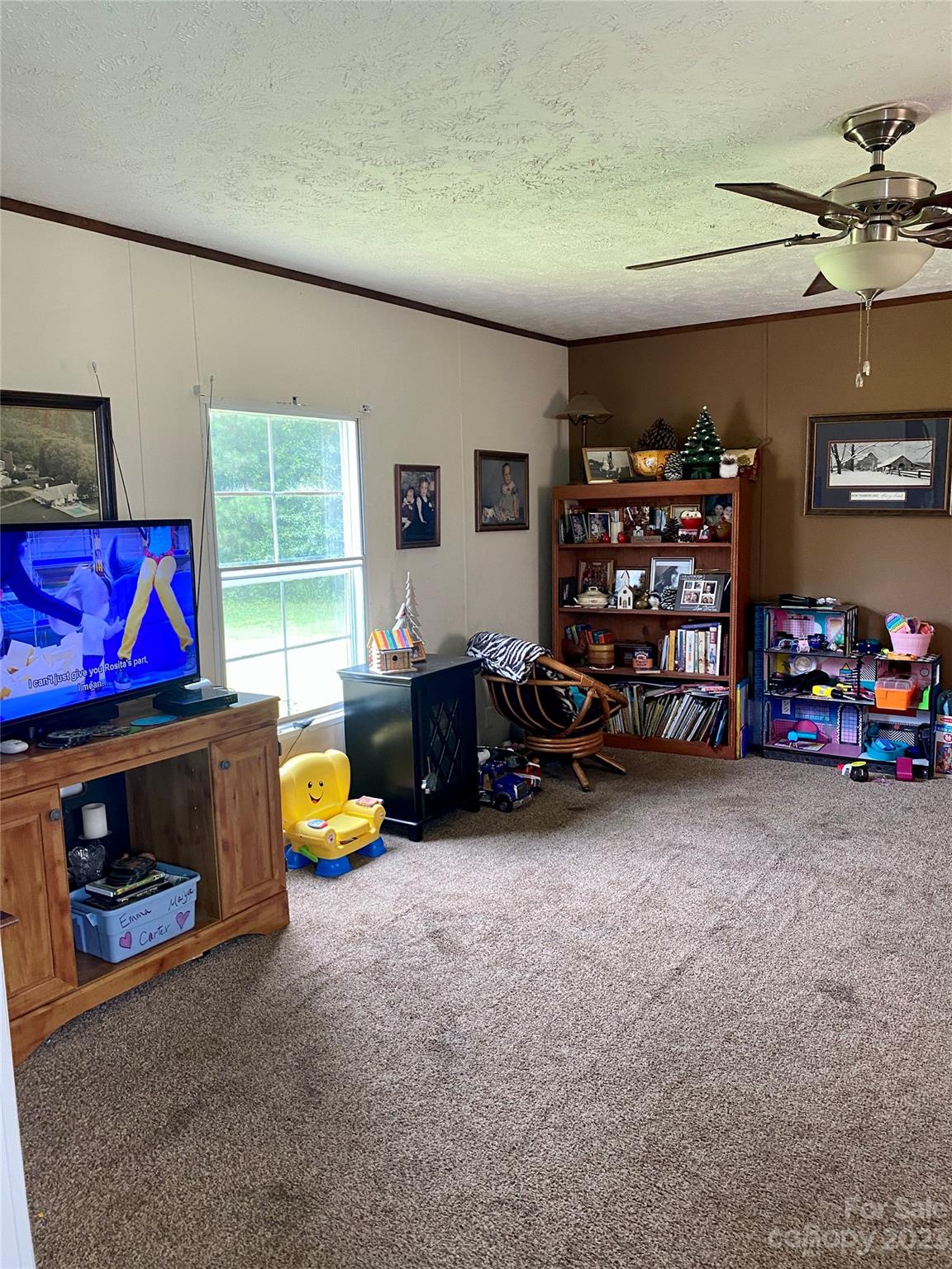 121 Poe Road Lawndale, NC 28090 - Photo 18 of 22 Gallery Image 18