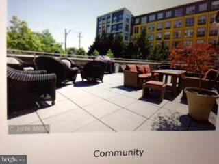 2726 Gallows Road, Unit 1003 Vienna, VA 22180 - Photo 18 of 23 Community