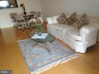 2726 Gallows Road, Unit 1003 Vienna, VA 22180 - Photo 4 of 23 Living Room