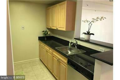 2726 Gallows Road, Unit 1003 Vienna, VA 22180 - Photo 8 of 23 Kitchen