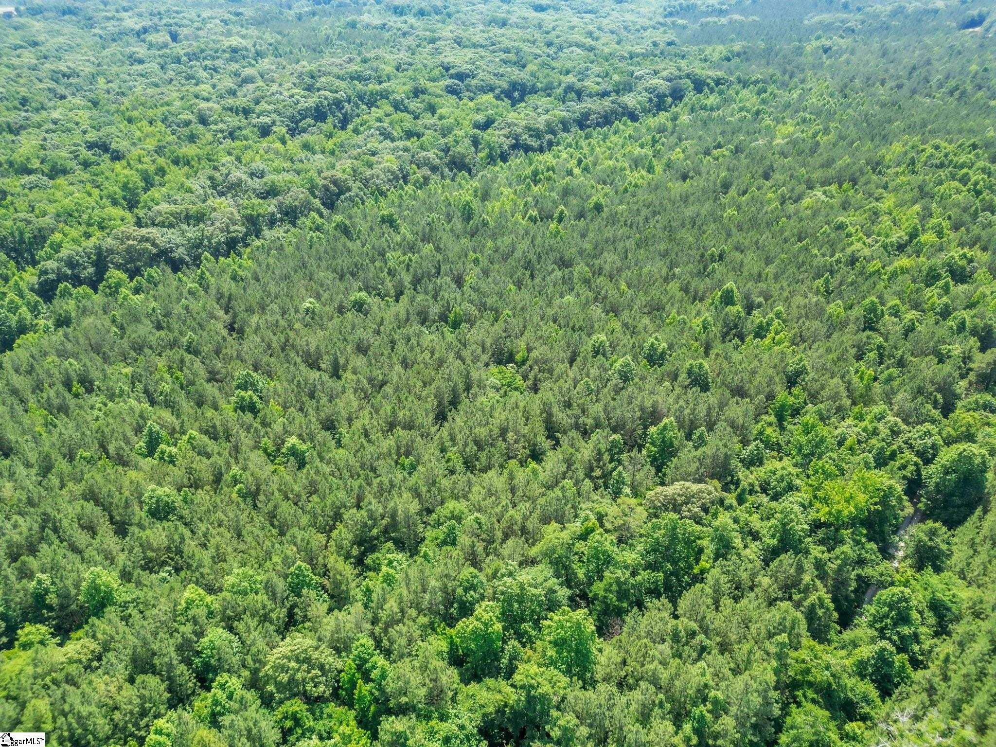 0 Simpson Mill Road Laurens, SC 29360 - Photo 6 of 18 Gallery Image 6
